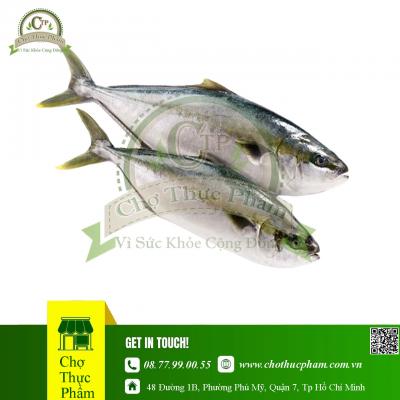 Cá cam Nhật 500-1000g ( Thùng 15kg )