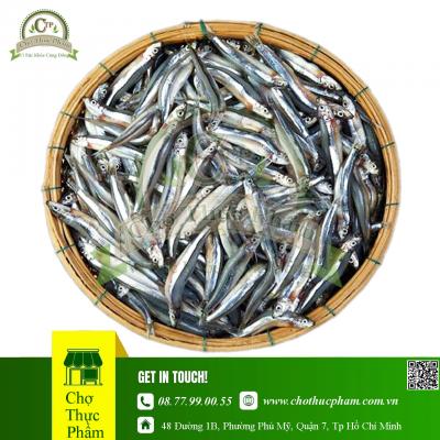 Cá Cơm Than Đông Lạnh