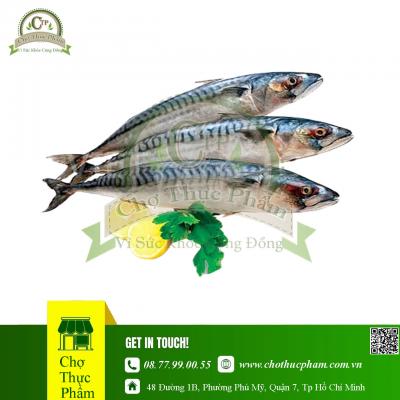 Cá nục Trung Quốc (400-600)