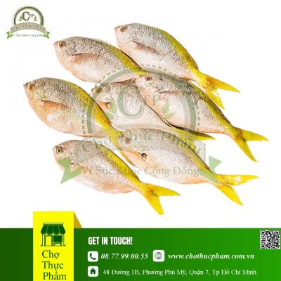Cá Trầm Bì Đông Lạnh
